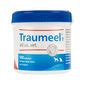 Traumeel for Dogs, Cats & Horses | Pain Relief