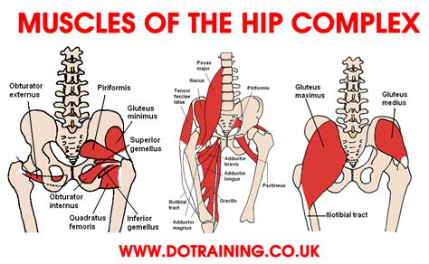 6 Steps to Correcting Hip Flexor Pain | Balance In Motion