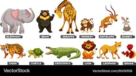 Wild animals in many types Royalty Free Vector Image