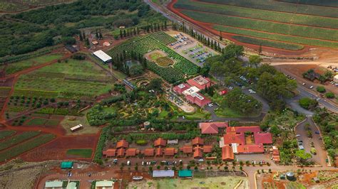 Dole Pineapple Maze on the Island of Oahu | West Coast Aerial Photography, Inc