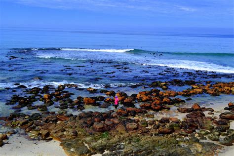 Photoblog: Cape Town's False Bay Coastline in Motion.