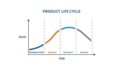 Product Lifecycle Phases: Real World Examples | by Watcher Joaquim | Medium