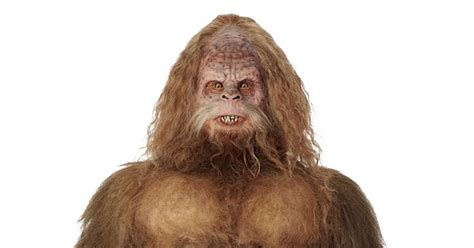 21 Things You Might Not Know About Me: Sasquatch | Recent News | DrydenWire.com