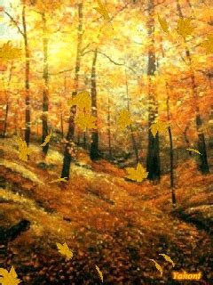 autumn leaf fall ... | Autumn scenery, Scenery, Fall colors