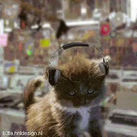 Cat Jam GIF – Cat Jam Music – Откриване и споделяне на GIF файлове