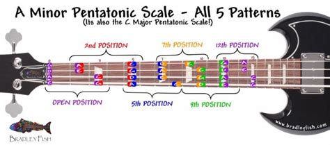 For the BASSISTS!!! The A Minor Pentatonic Scale - All positions ...