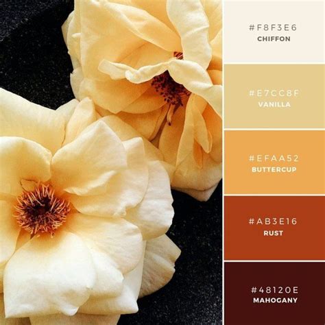 Vibrant Color Palette Combos Take Colors From the World to Inspire Creativity | Fall color ...