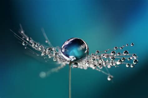 5 Tips for Water Droplet Photography | Skylum Blog (ex-Macphun)