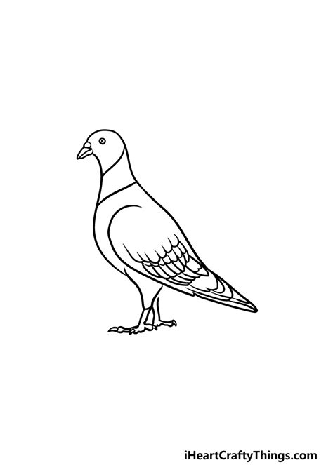 How To Draw The Pigeon - Resolutionrecognition4