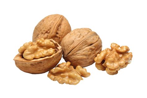 Walnut PNG Image - PurePNG | Free transparent CC0 PNG Image Library