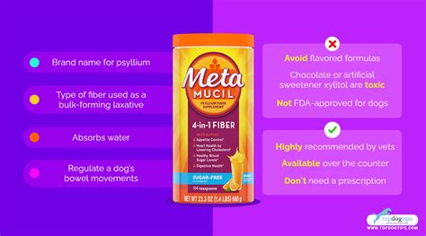 How Much Metamucil Should You Give Your Dog For Optimal Health?