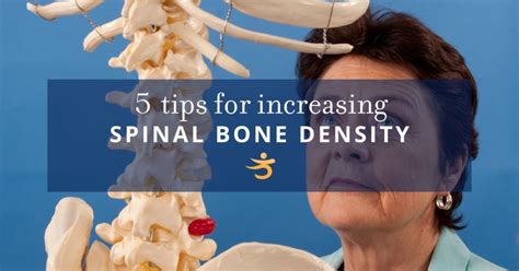 How To Increase Spinal Bone Density With Exercise— Better Bones