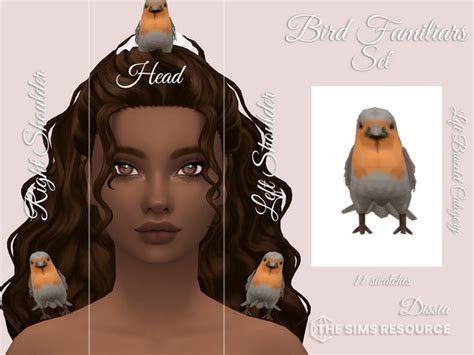 The Sims Resource - Bird Familiar Set