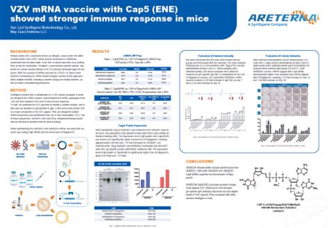 Request Scientific Poster: VZV mRNA Vaccine Data with Cap5(ENE) - Areterna