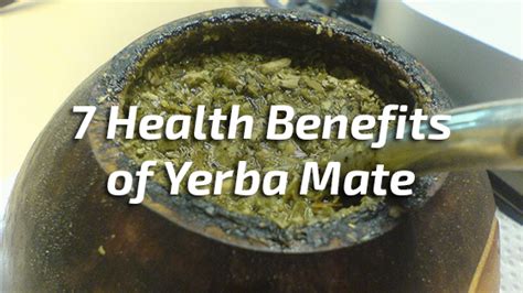 7 Health Benefits of Yerba Mate | Nutrition Fox