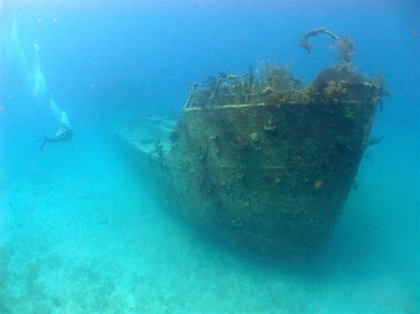 Roatan Shipwreck Snorkel Tour