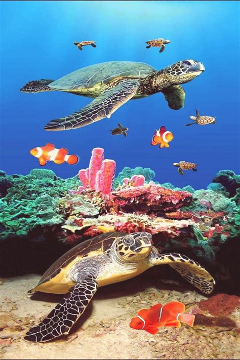 Turtles and coral reef Towel in 2020 | Beautiful sea creatures, Sea ...