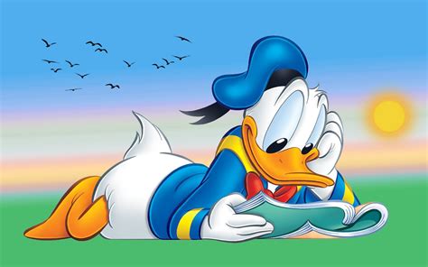 Donald Duck Cartoon Reading Book Desktop Hd Wallpaper For Tablet And Pc 2560x1600 : Wallpapers13.com