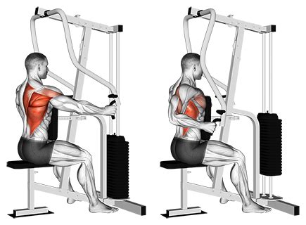 Exercise Database (Back33) - One-Arm Seated Cable Row Machine — Jase ...