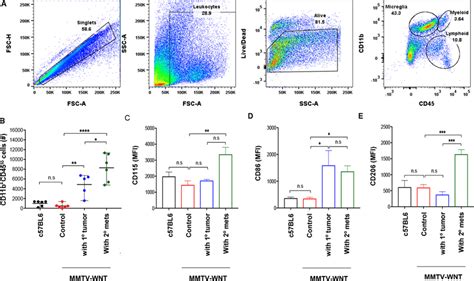 Activation of CD11b⁺CD45lo brain resident microglial cells in primary ...