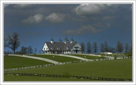 Calumet Farm in Lexington, KY | Calumet farm, Calumet, Farm photo