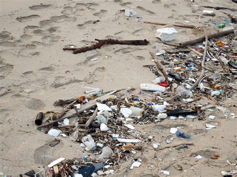 Trash On A Beach Free Stock Photo - Public Domain Pictures