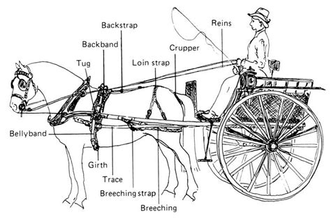 Horse Drawn Wagon Parts Diagram