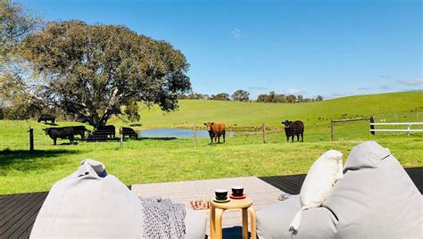 Adelaide Hills Accommodation: Stylish Stays for Your Next Weekend Getaway | Sitchu Adelaide