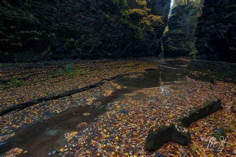 Watkins Glen Autumn Cathedral | Watkins Glen State Park, NY | Mickey Shannon Photography