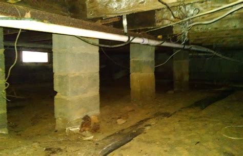 Crawlspace Mold: What you should know