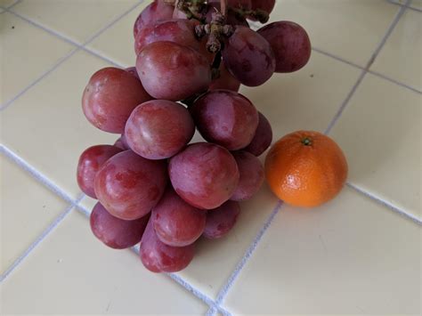 Very large grapes. : r/mildlyinteresting