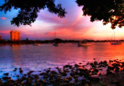 Marina Jack - Sarasota Bay Sunset | Sarasota bay, Scenery, Sunset