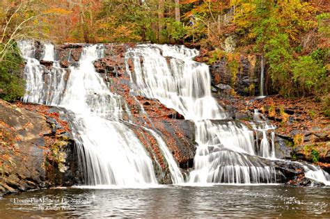 Cane Creek Falls in Dahlonega, Georgia | American road trip, Places to go, Heaven on earth