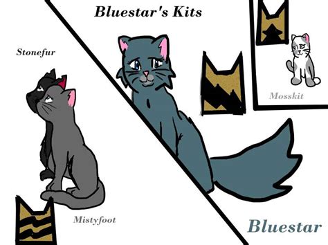 Bluestar's Kits by xXdixonXx on DeviantArt