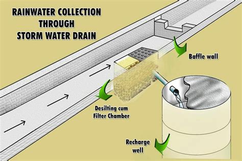 How to Collect Rainwater for Drinking! Best Easy Ways