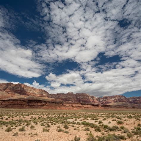 The 9 Best Vermilion Cliffs National Monument Hiking Trails