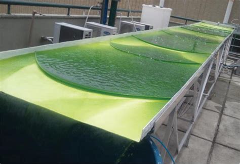 Cultivation Systems of Microalgae for the Production of Biofuels | IntechOpen