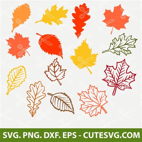 Fall Leaf SVG Bundle, Fall Leaf SVG, Fall Leaves SVG, Fall SVG