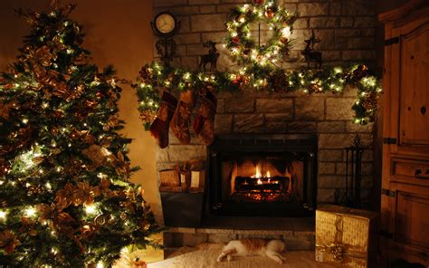 10 Christmas Tree Facts to Make You Feel Festive - The List Love