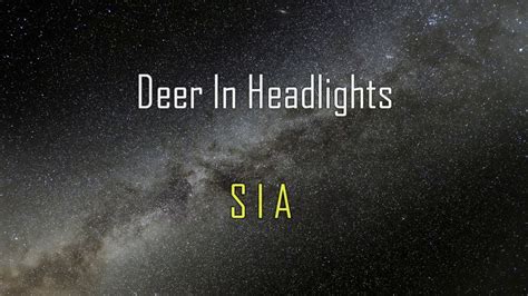 Deer In Headlights - SIA KARAOKE subtitulada ESPAÑOL - YouTube