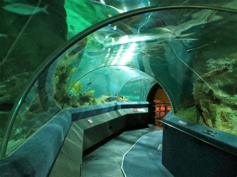 The National Aquarium in Napier. – Two At Sea