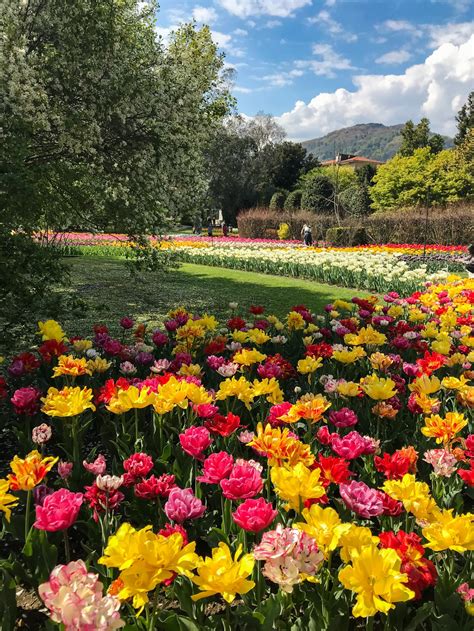 Verbania: 5 luoghi assolutamente da visitare. Cosa vedere a Verbania