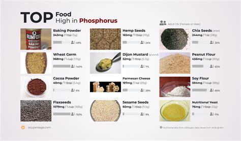 Top 10 Foods Highest In Phosphorus, 52% OFF | www.elevate.in