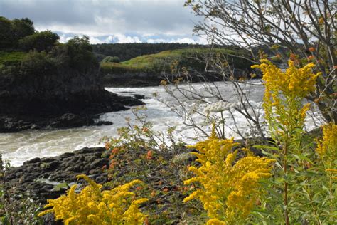 Reversing Falls in Saint John, New Brunswick - Kid-friendly Attractions | Trekaroo