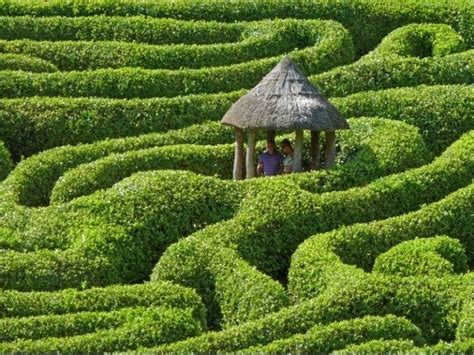 Glendurgan Garden Maze, Monwan, Cornwall, United Kingdom. | Maze, Labyrinth garden, Organic farming