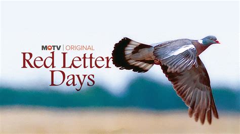 Red Letter Days