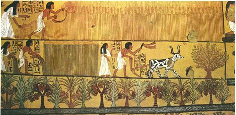 Wonderful agriculture in ancient Egypt 4 Facts about it.