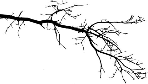 Tree With Branches Drawing at GetDrawings | Free download