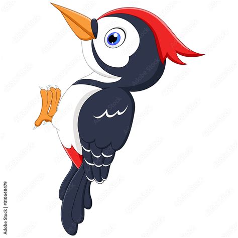 A woodpecker bird cartoon isolated on white background Stock Vector | Adobe Stock