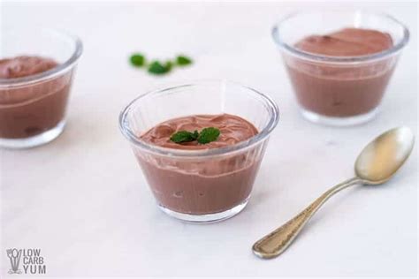 Quick & Easy 4-Ingredient Chocolate Tofu Pudding Recipe - Low Carb Yum